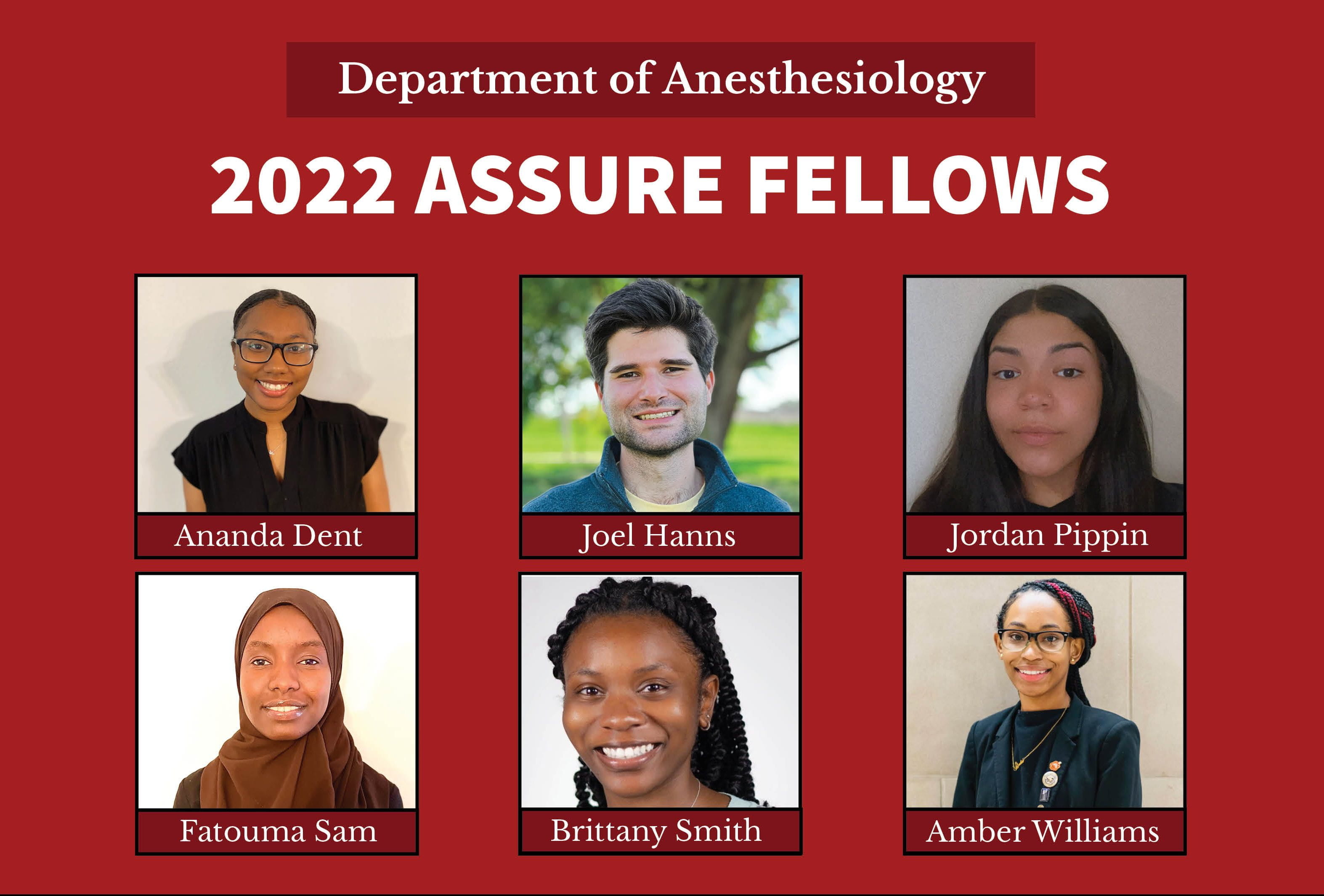 Announcing the 2022 Cohort of ASSURE Fellows